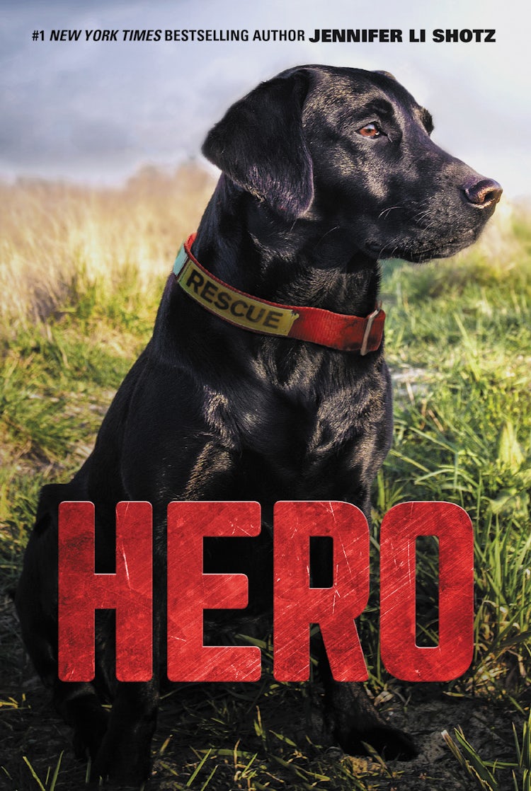 Cover image for Hero, isbn: 9780062560421