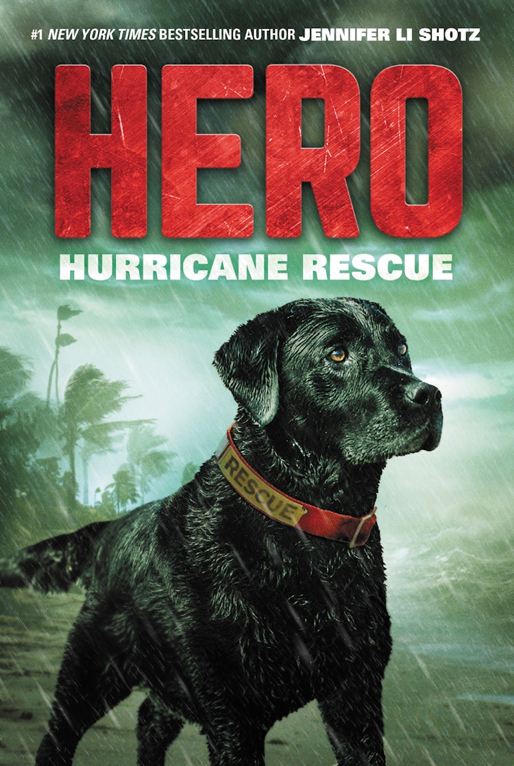 Cover image for Hero: Hurricane Rescue, isbn: 9780062560469