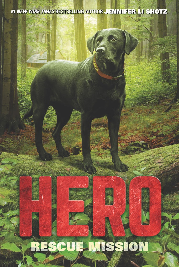 Cover image for Hero: Rescue Mission, isbn: 9780062560483