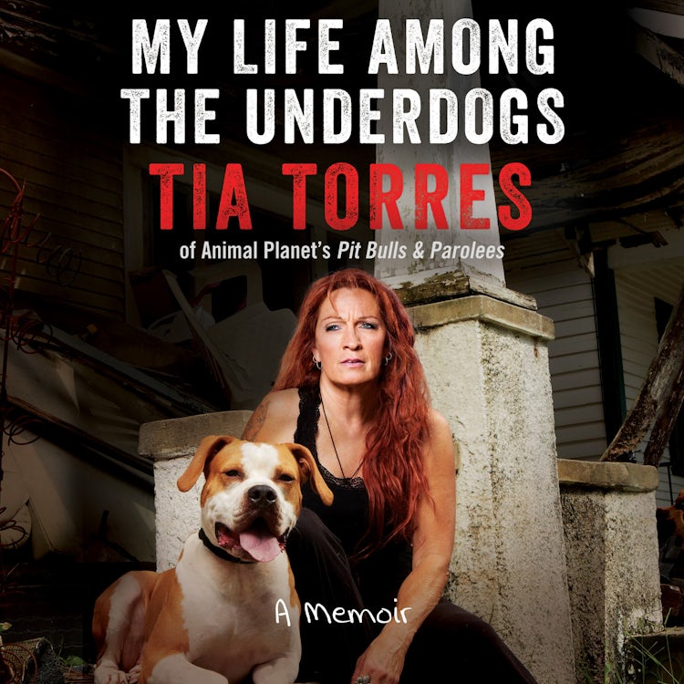 Cover image for My Life Among the Underdogs, isbn: 9780062563019