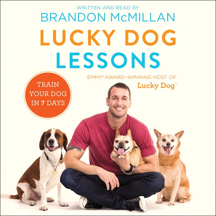 Cover image for Lucky Dog Lessons, isbn: 9780062563620
