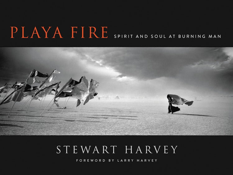 Cover image for Playa Fire, isbn: 9780062564030