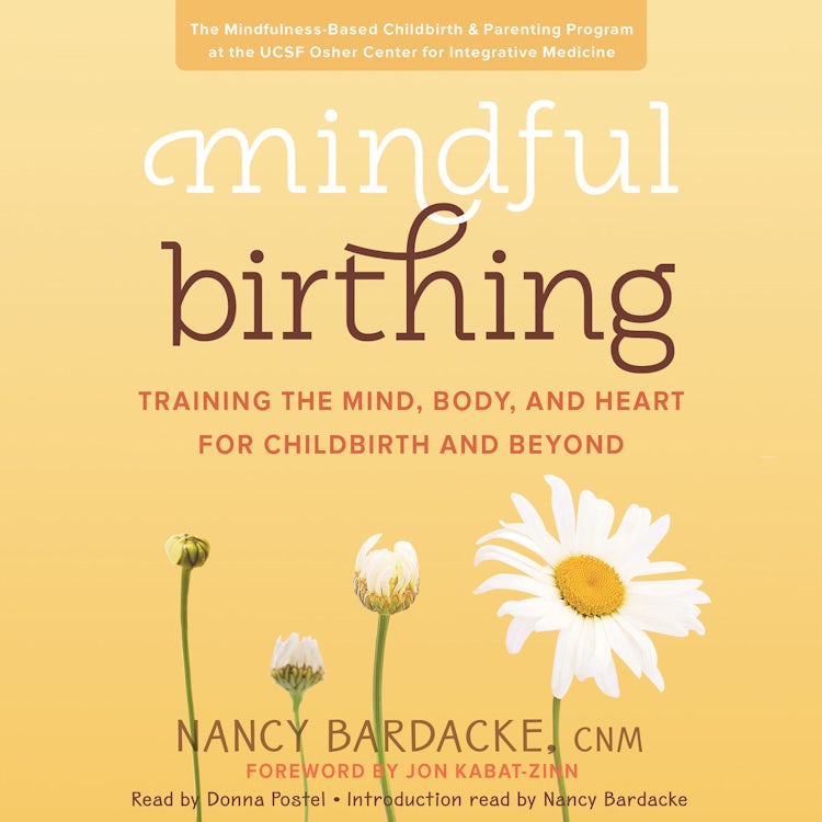 Cover image for Mindful Birthing, isbn: 9780062565952