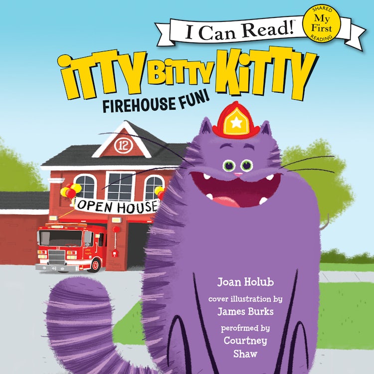 Cover image for Itty Bitty Kitty: Firehouse Fun, isbn: 9780062570208