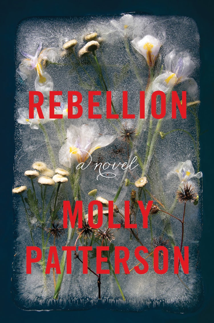 Cover image for Rebellion, isbn: 9780062574077