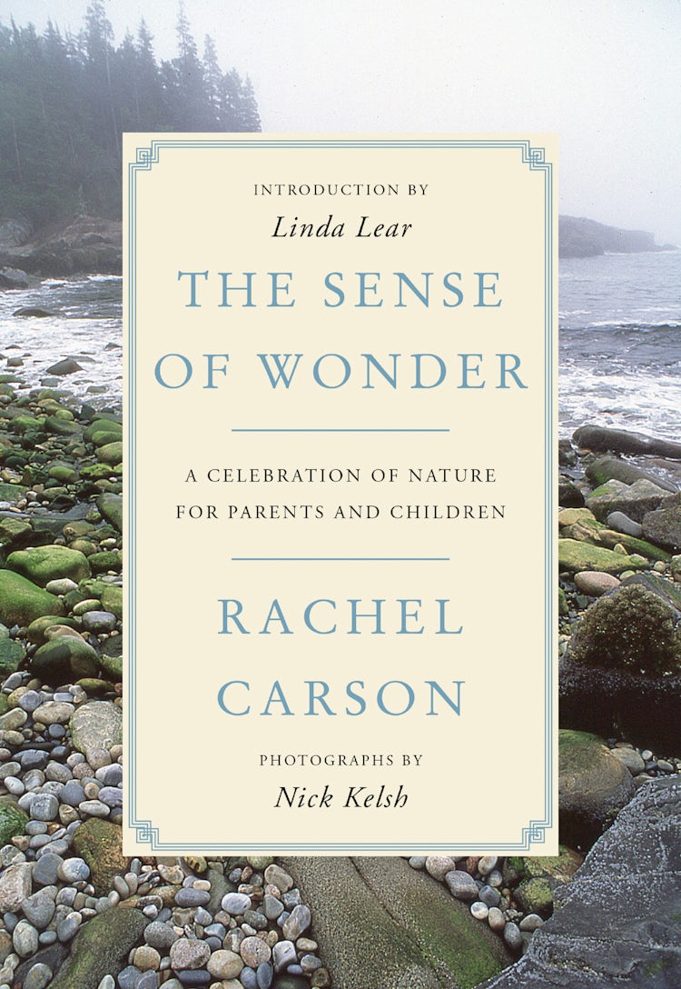 Cover image for The Sense Of Wonder: A Celebration of Nature for Parents and Children, isbn: 9780062655356