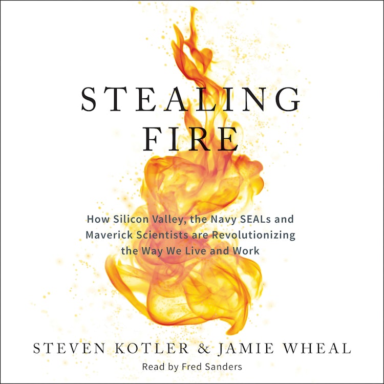 Cover image for Stealing Fire, isbn: 9780062659736