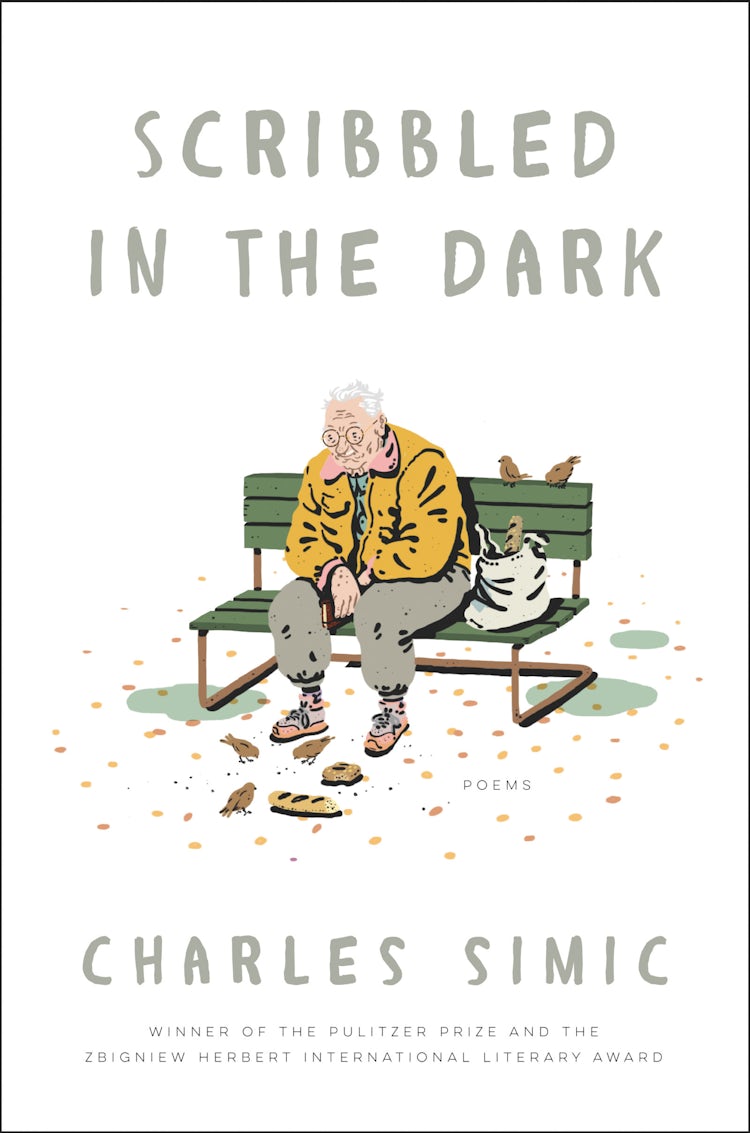 Cover image for Scribbled in the Dark, isbn: 9780062661197