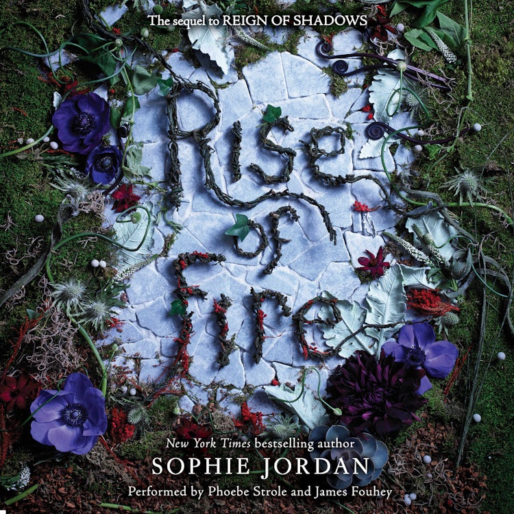 Cover image for Rise of Fire, isbn: 9780062661234