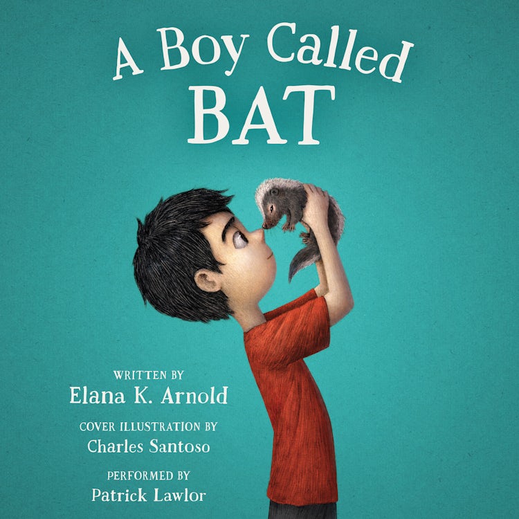 Cover image for A Boy Called Bat, isbn: 9780062661647
