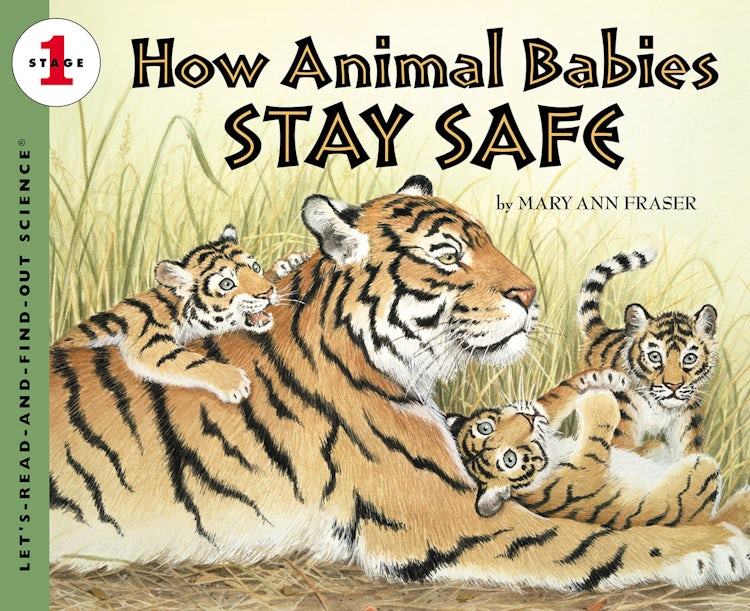 Cover image for How Animal Babies Stay Safe, isbn: 9780062661876