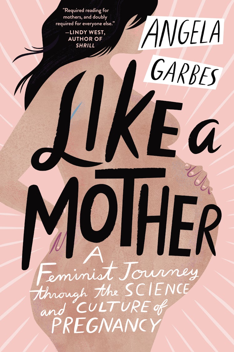Cover image for Like a Mother, isbn: 9780062662965