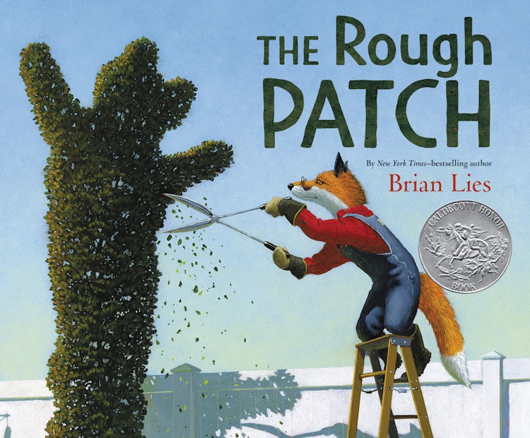 Cover image for The Rough Patch, isbn: 9780062671271
