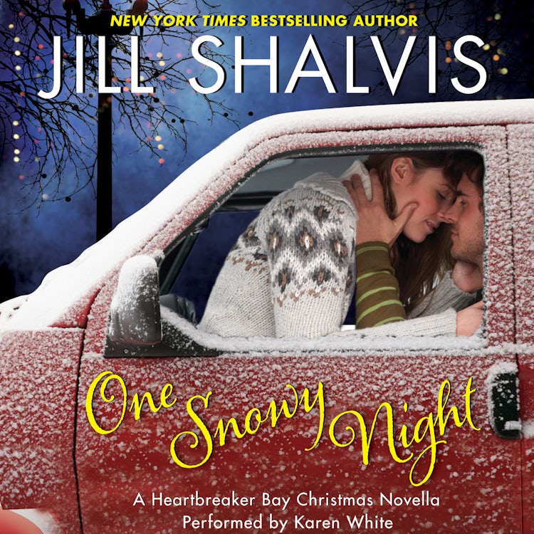Cover image for One Snowy Night, isbn: 9780062671400