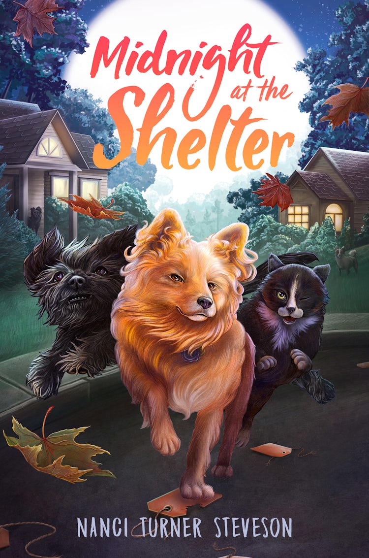 Cover image for Midnight at the Shelter, isbn: 9780062673237