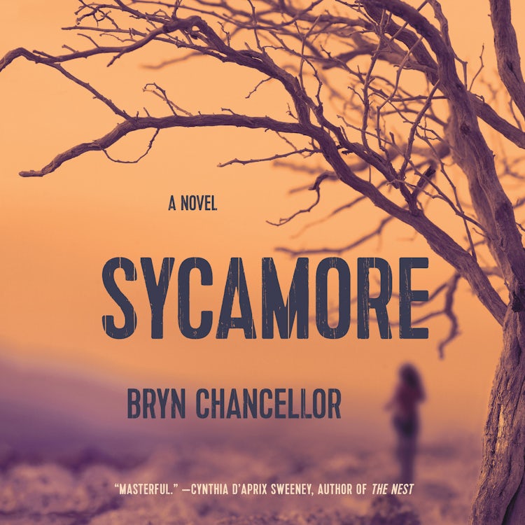 Cover image for Sycamore, isbn: 9780062674036