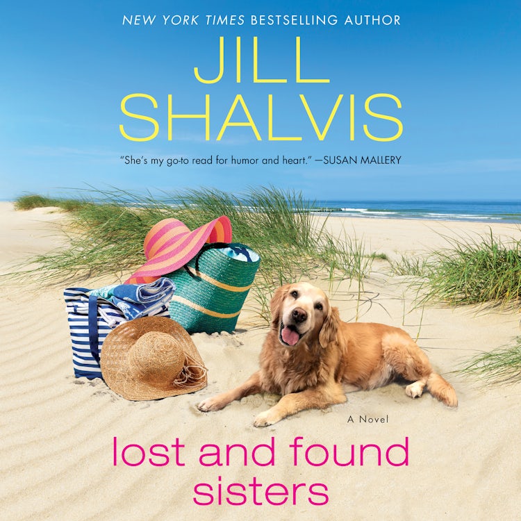Cover image for Lost and Found Sisters, isbn: 9780062680648