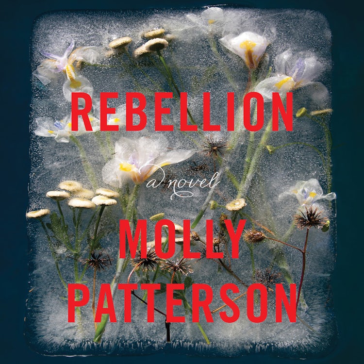 Cover image for Rebellion, isbn: 9780062683601