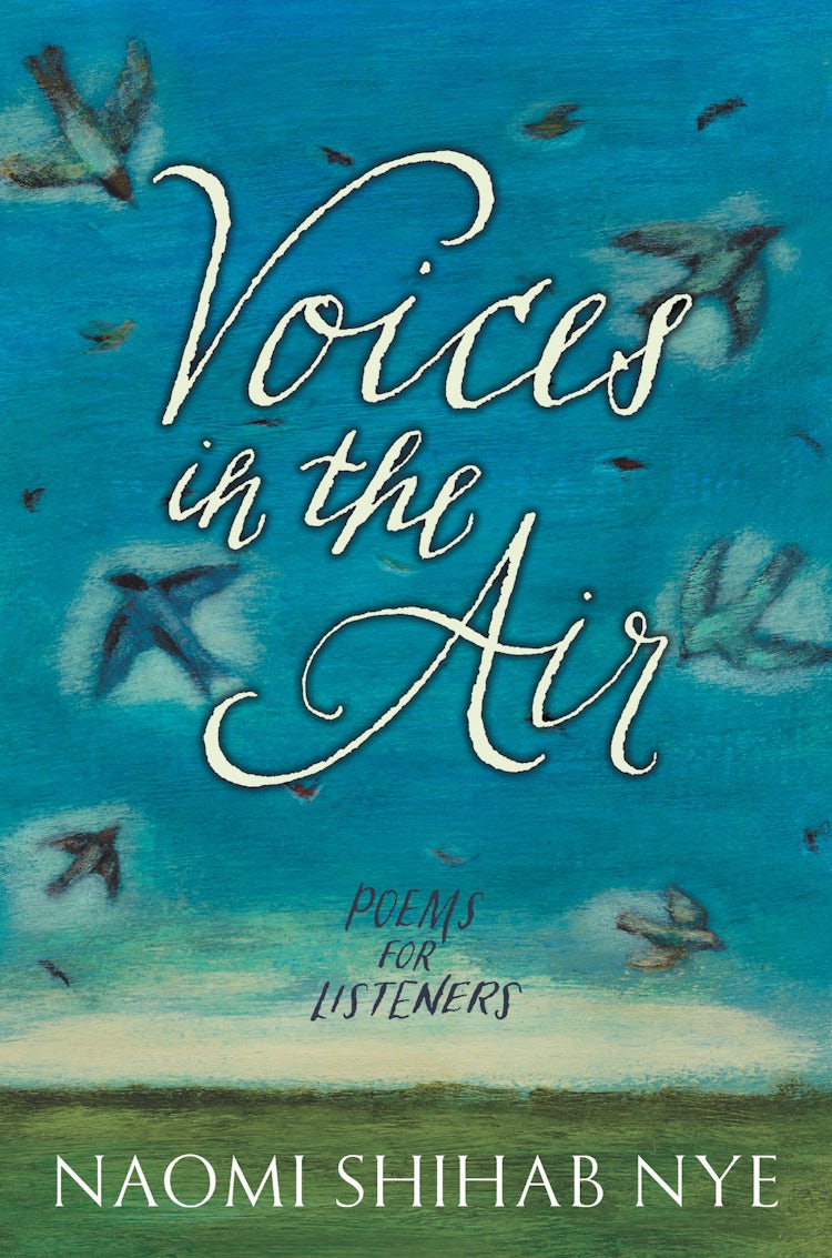 Cover image for Voices in the Air, isbn: 9780062691866
