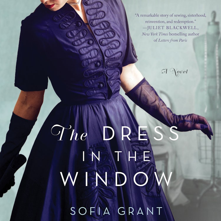 Cover image for The Dress in the Window, isbn: 9780062698049