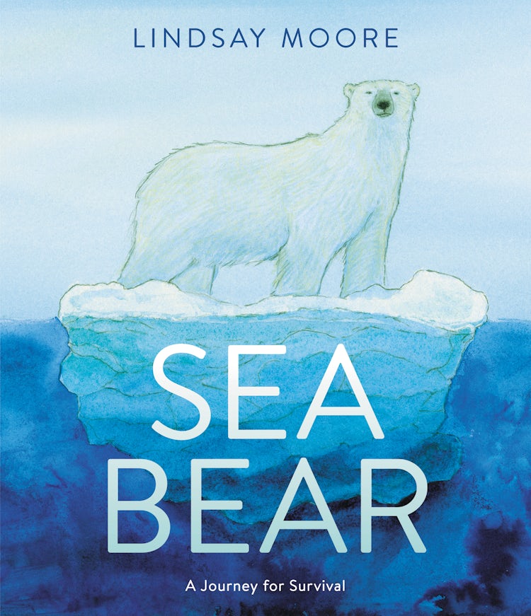 Cover image for Sea Bear: A Journey for Survival, isbn: 9780062791290