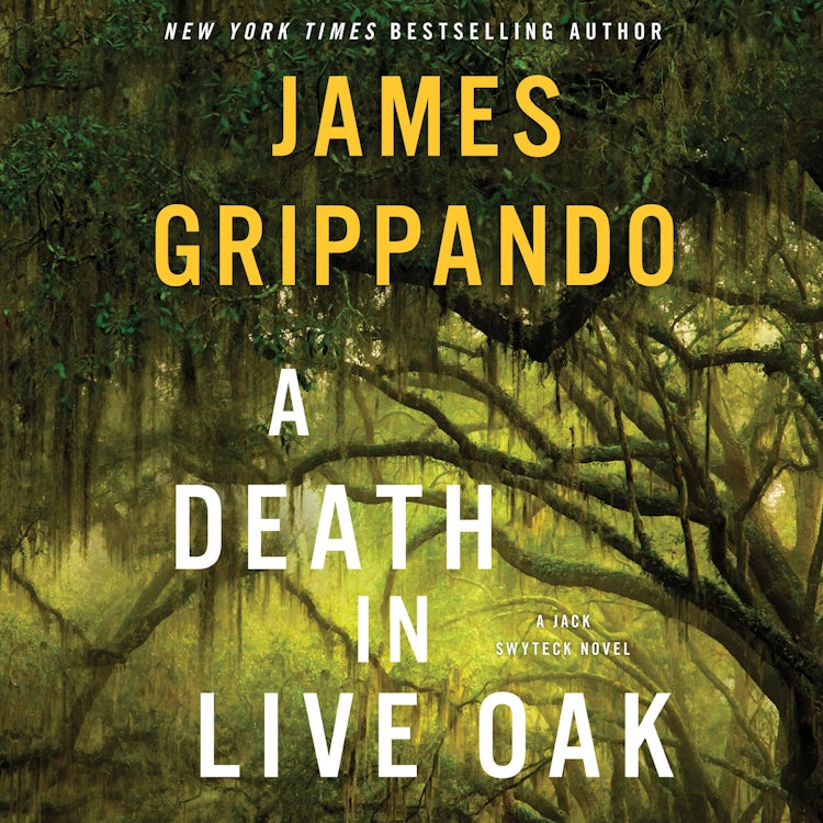 Cover image for A Death in Live Oak, isbn: 9780062798510