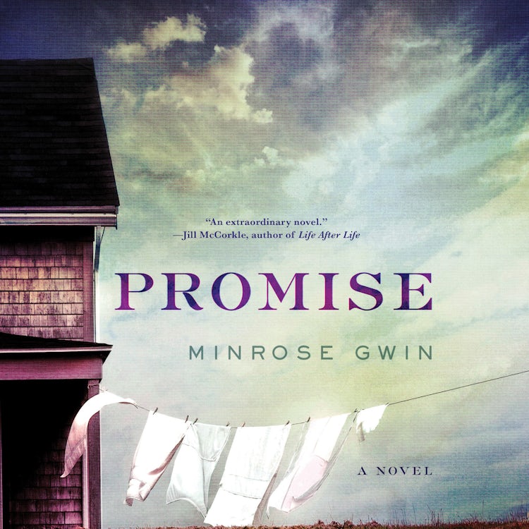 Cover image for Promise, isbn: 9780062802316