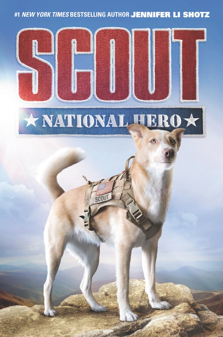 Cover image for Scout: National Hero, isbn: 9780062802491