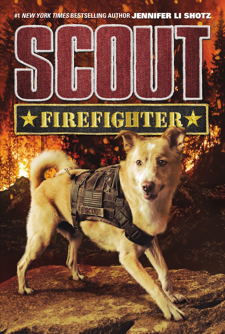 Cover image for Scout: Firefighter, isbn: 9780062802620