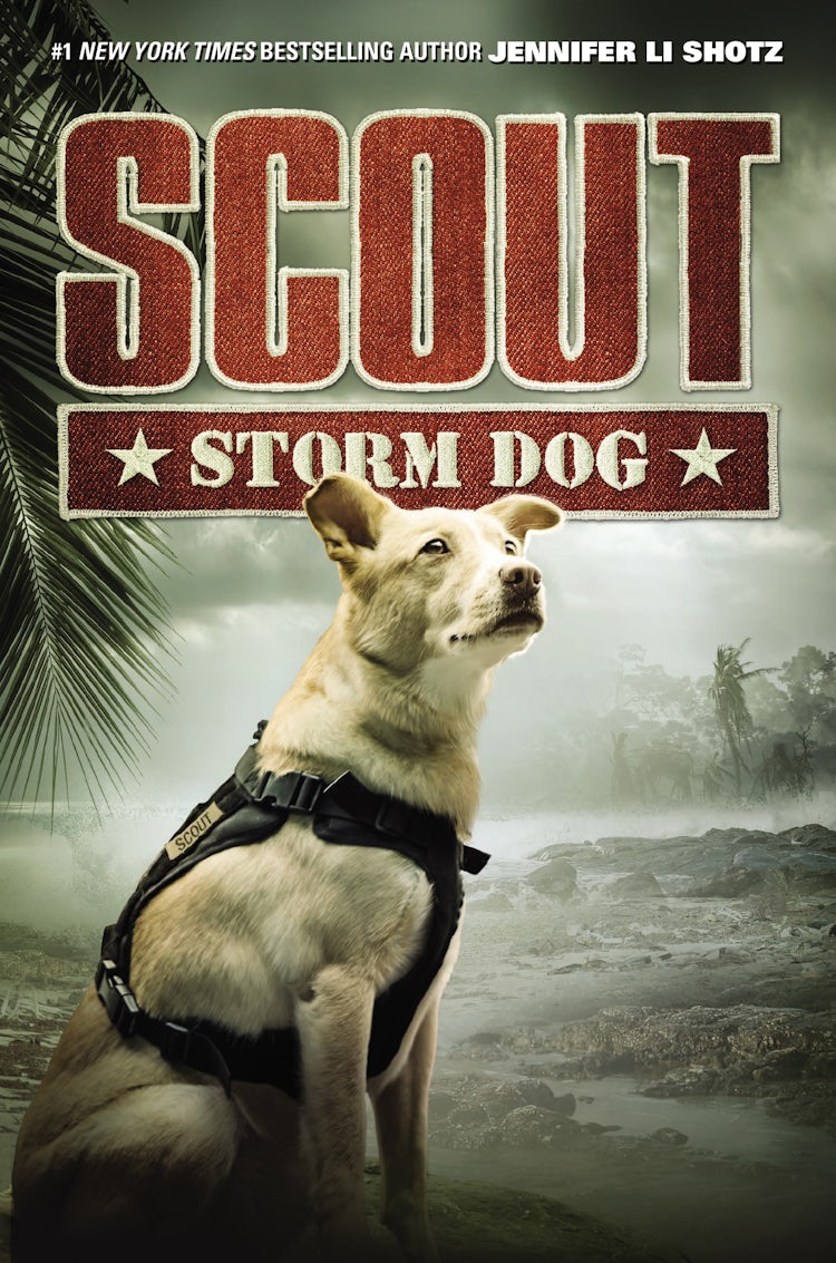 Cover image for Scout: Storm Dog, isbn: 9780062802651
