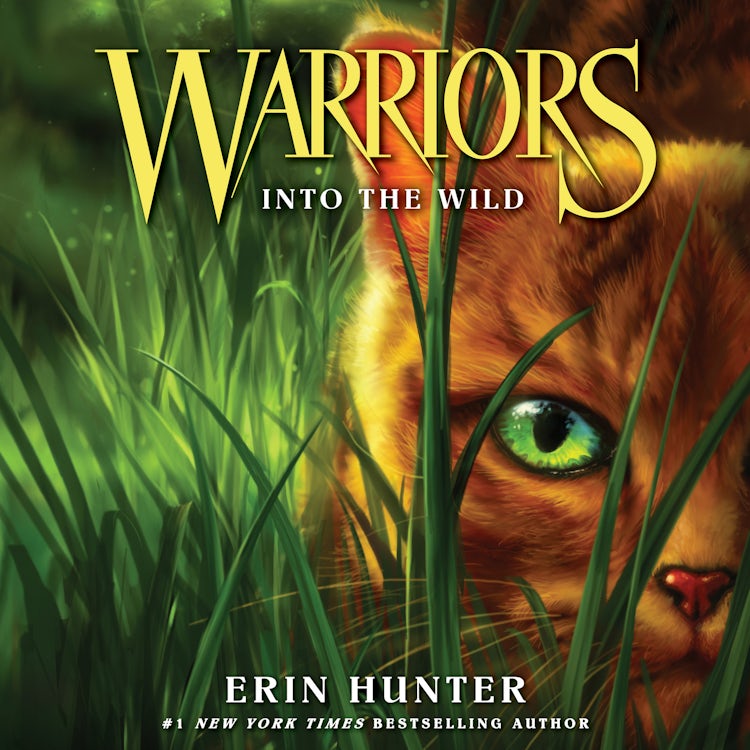 Cover image for Warriors #1: Into the Wild, isbn: 9780062819918