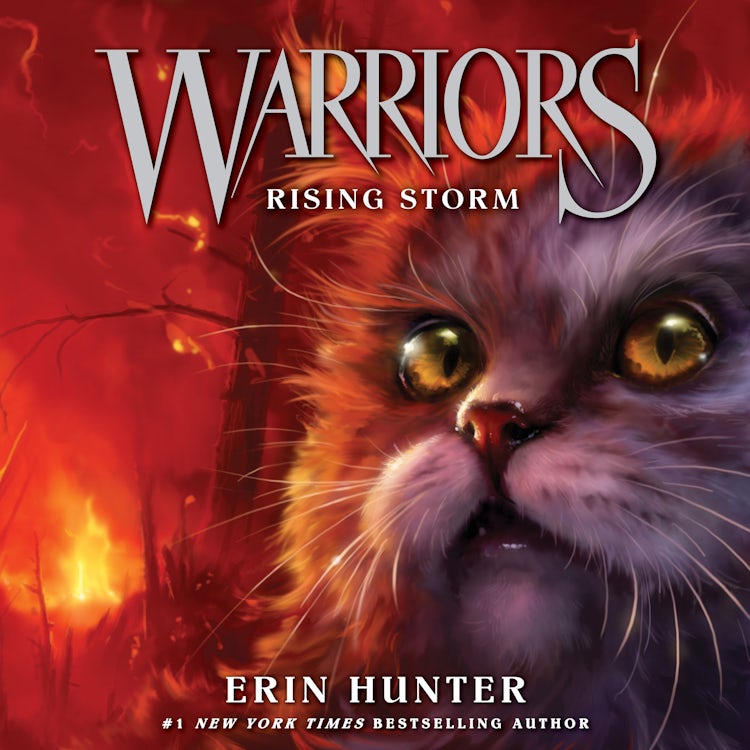 Cover image for Warriors #4: Rising Storm, isbn: 9780062819970