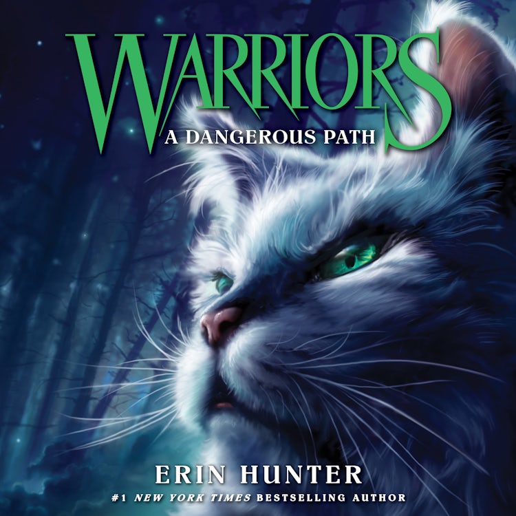 Cover image for Warriors #5: A Dangerous Path, isbn: 9780062819994