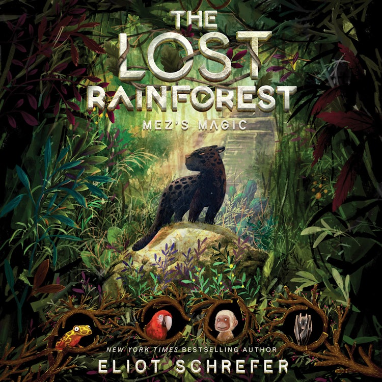 Cover image for The Lost Rainforest #1: Mez's Magic, isbn: 9780062821362