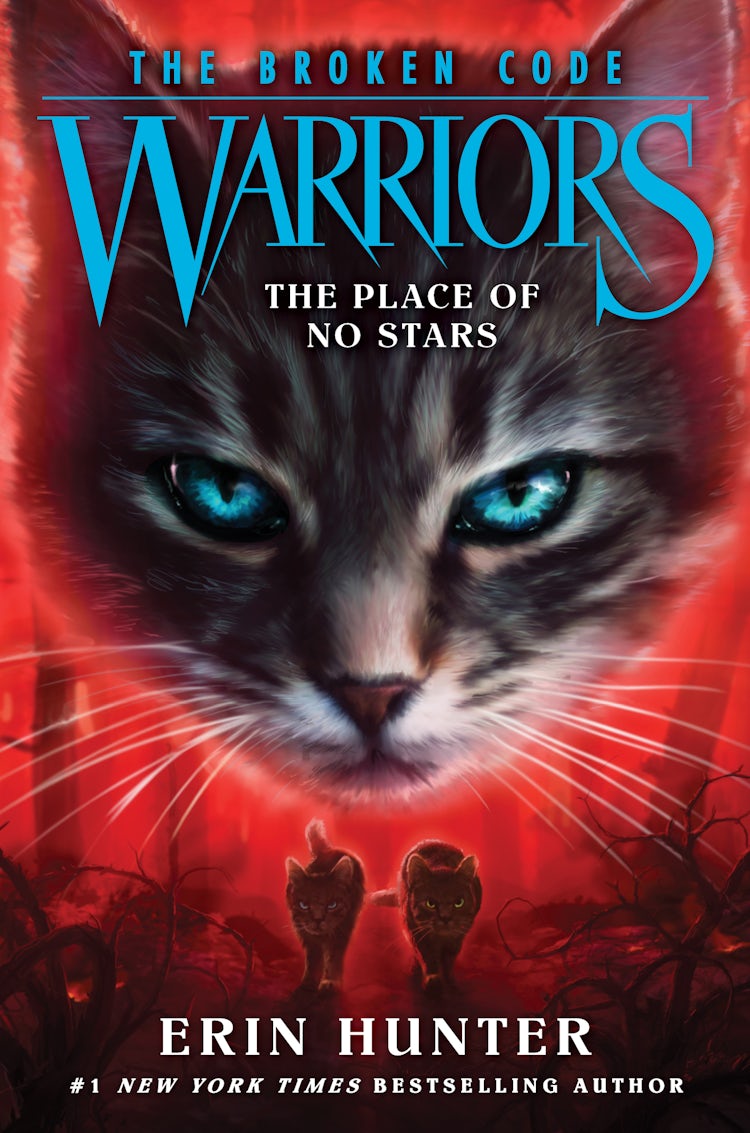 Cover image for Warriors: The Broken Code #5: The Place of No Stars, isbn: 9780062823793