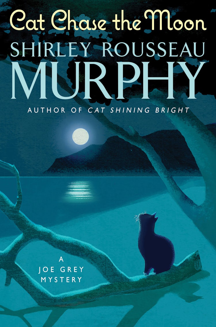 Cover image for Cat Chase the Moon, isbn: 9780062838063