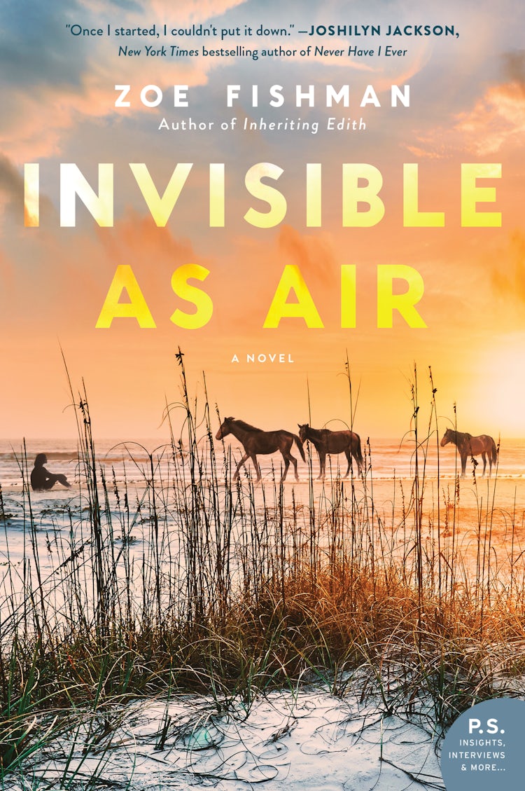 Cover image for Invisible as Air, isbn: 9780062838254