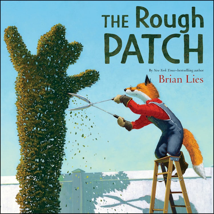 Cover image for The Rough Patch, isbn: 9780062842046