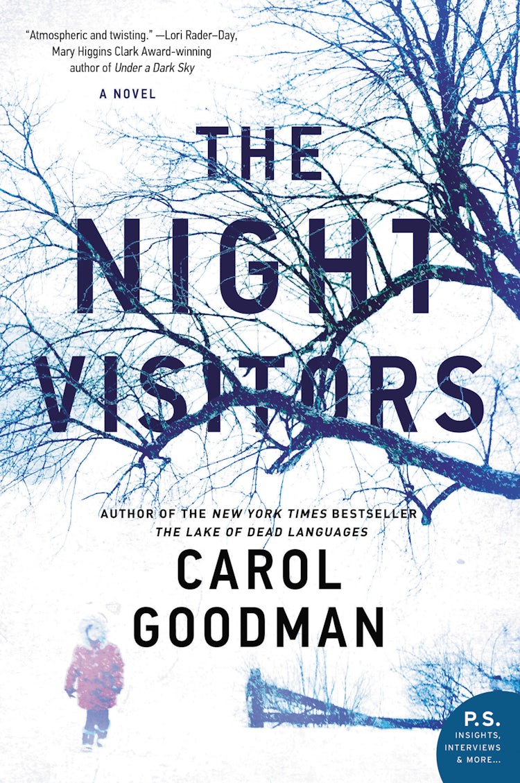 Cover image for The Night Visitors, isbn: 9780062852014