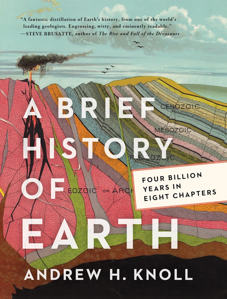 Cover image for A Brief History of Earth: Four Billion Years in Eight Chapters, isbn: 9780062853929