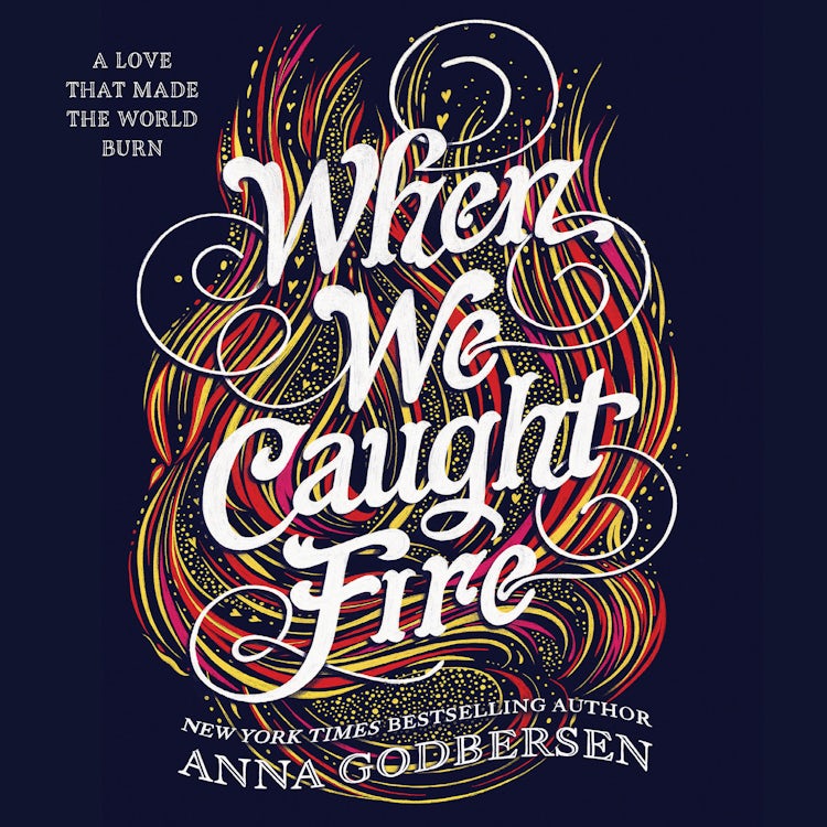 Cover image for When We Caught Fire, isbn: 9780062855787