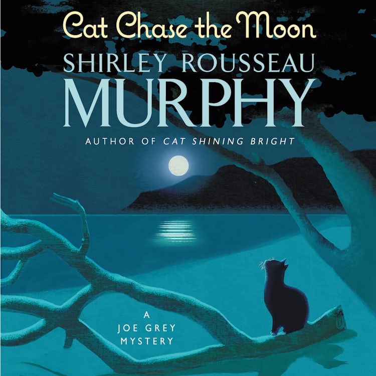 Cover image for Cat Chase the Moon, isbn: 9780062865168