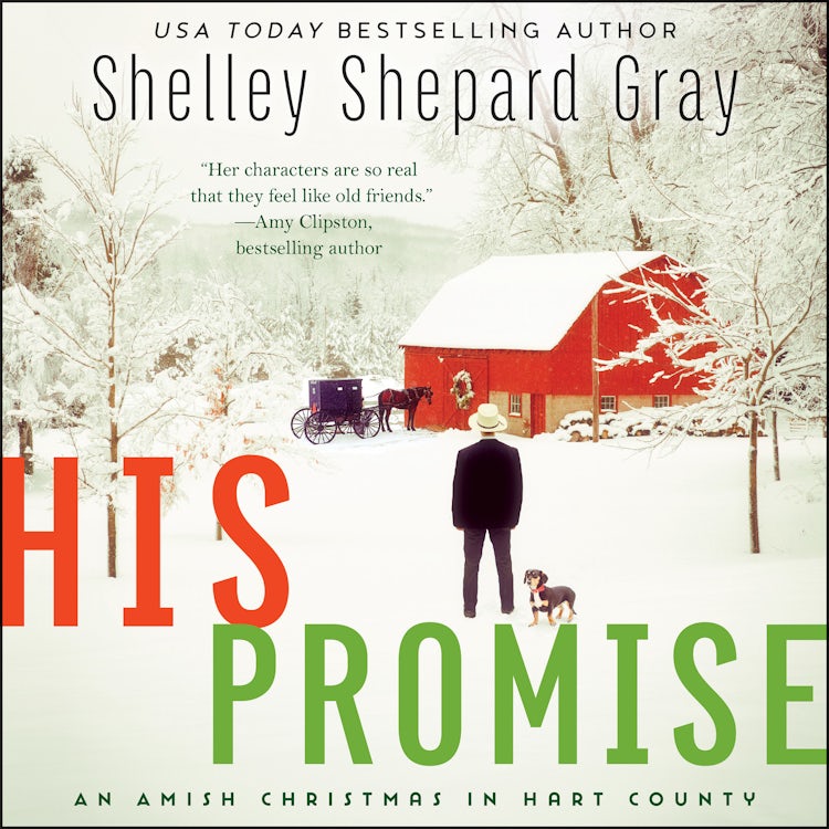 Cover image for His Promise, isbn: 9780062867285