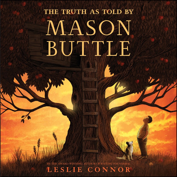 Cover image for The Truth as Told by Mason Buttle, isbn: 9780062872692