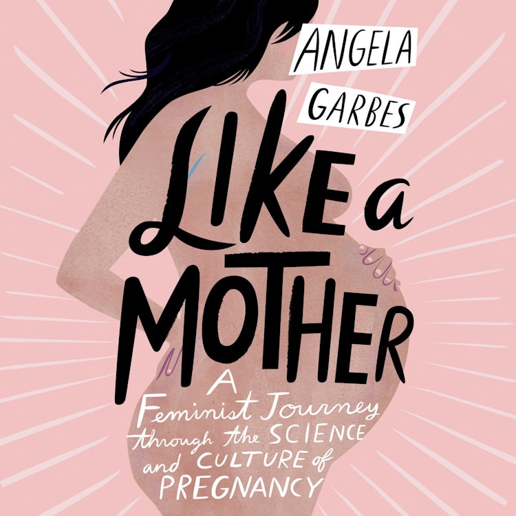 Cover image for Like a Mother, isbn: 9780062879592