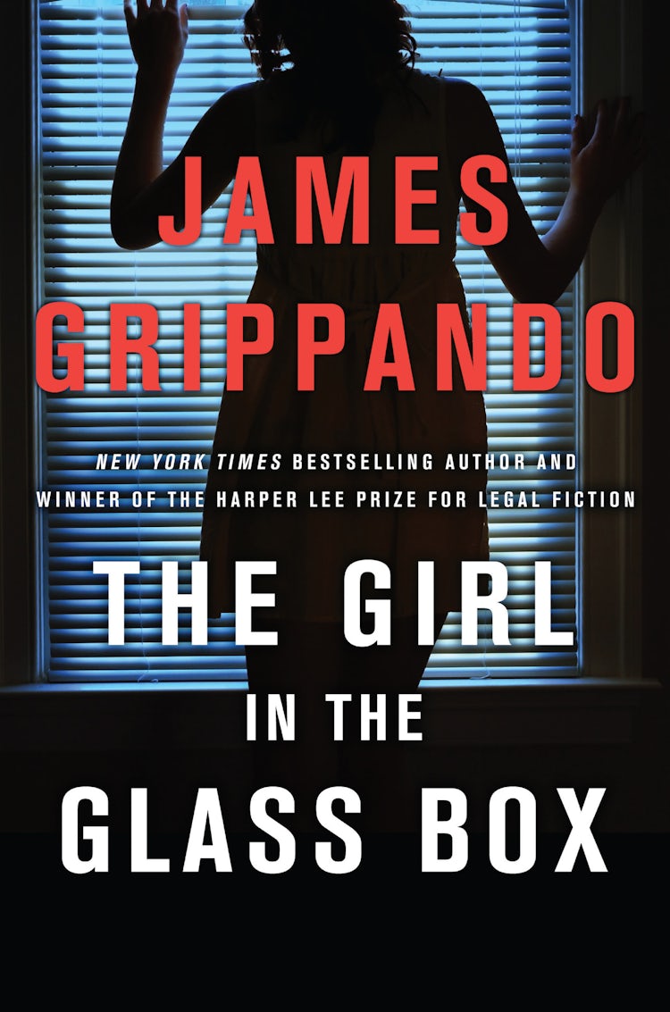 Cover image for The Girl in the Glass Box, isbn: 9780062885821