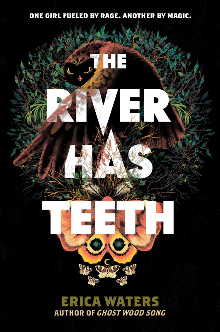 Cover image for The River Has Teeth, isbn: 9780062894267