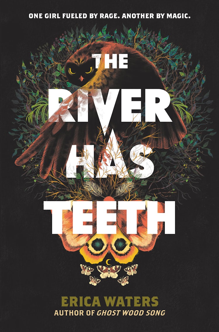 Cover image for The River Has Teeth, isbn: 9780062894274