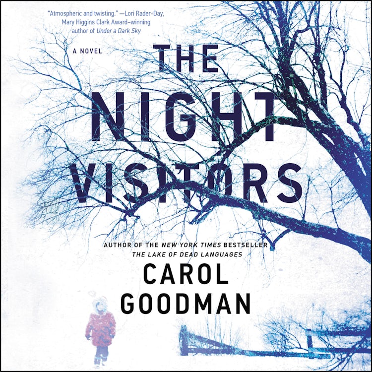 Cover image for The Night Visitors, isbn: 9780062898050