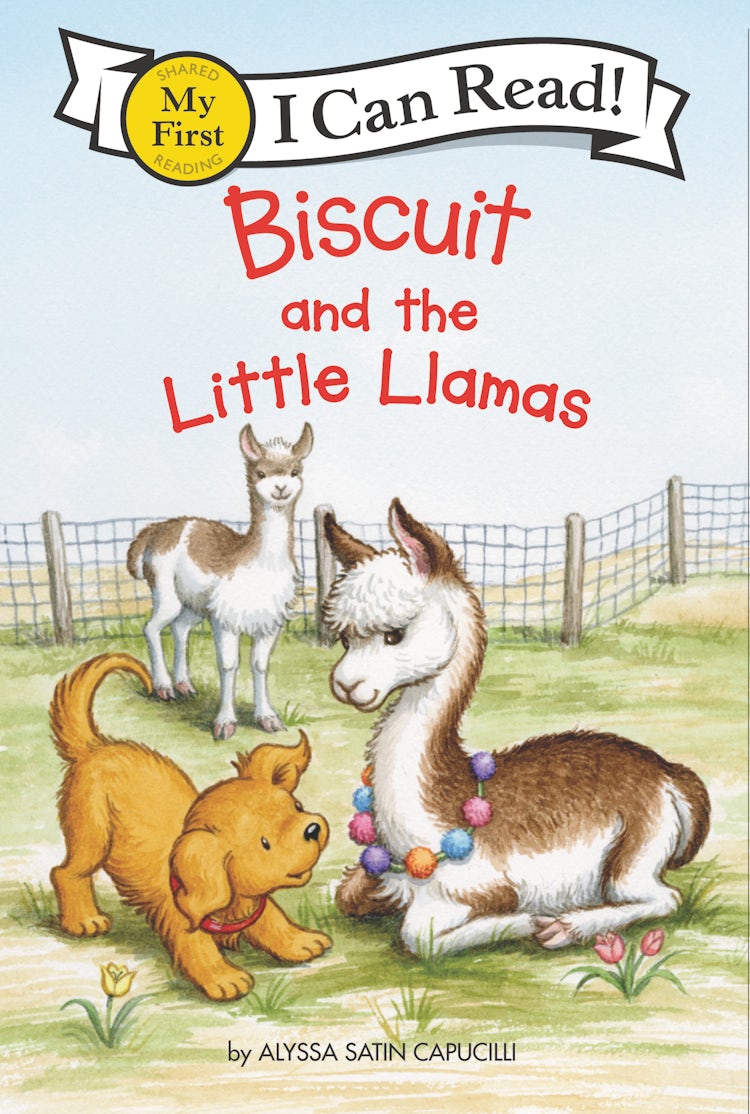 Cover image for Biscuit and the Little Llamas, isbn: 9780062909992